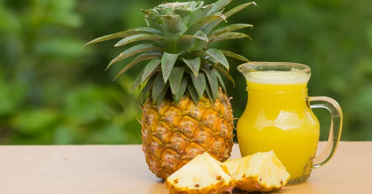 Nước ép dứa: Bí quyết giảm cân hiệu quả tại nhà