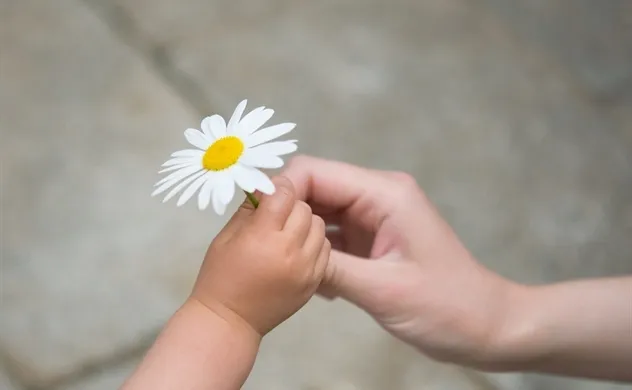 3 CHÌA KHÓA ĐỂ ĐẠT THÀNH CÔNG - THÁI ĐỘ, HÀNH ĐỘNG VÀ SỰ BIẾT ƠN